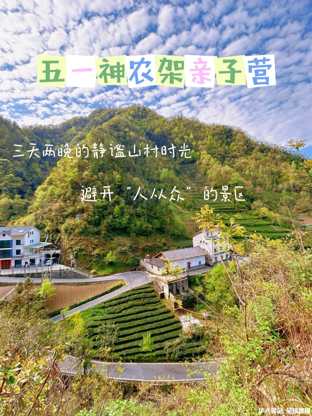 神农架：让孩子爱上自然3.jpg
