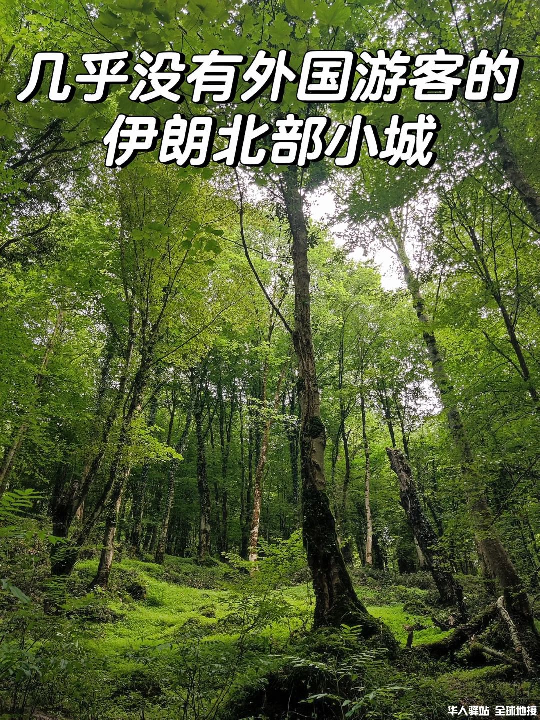 伊朗_来溯溪，里海边的夏天20°_1.jpg